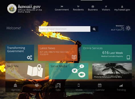 Best Web Design For Government